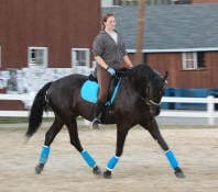 Person riding a dark horse in an open sandy area, both equipped with blue saddle pad and leg wraps, with a brown building and white fencing in the background.