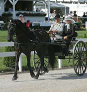 Two people dressed in formal attire ride in a horse-drawn carriage on a gravel path during an outdoor event.