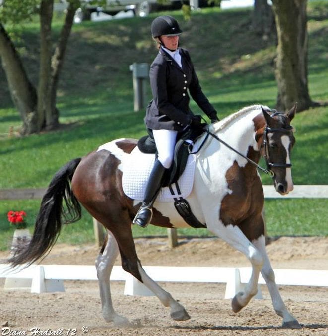 A person in equestrian attire rides a brown and white horse in an outdoor setting. The rider is dressed in a black jacket, white breeches, and a black helmet. Trees and a green lawn are in the background.