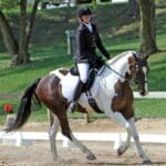 A person dressed in equestrian attire rides a brown and white horse in an outdoor arena. Trees and greenery are visible in the background.