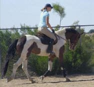 A person in riding gear is astride a brown and white horse, moving along a dirt path with greenery in the background.