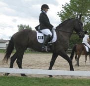 A person dressed in equestrian attire rides a dark horse on a sandy arena with trees and a cloudy sky in the background.