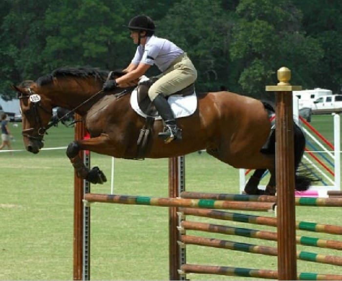 A person in equestrian gear rides a brown horse, mid-jump over a wooden hurdle, in an outdoor competition setting.