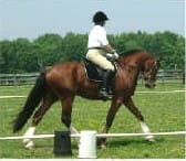 Person riding a brown horse in an outdoor grassy area, enclosed with white barriers and trees in the background.