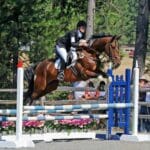 Equestrian dressed in riding gear jumps a horse over a hurdle in an outdoor setting surrounded by trees and spectators.