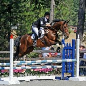 A horseback rider and horse are mid-jump over an obstacle in an outdoor equestrian competition, with trees in the background.