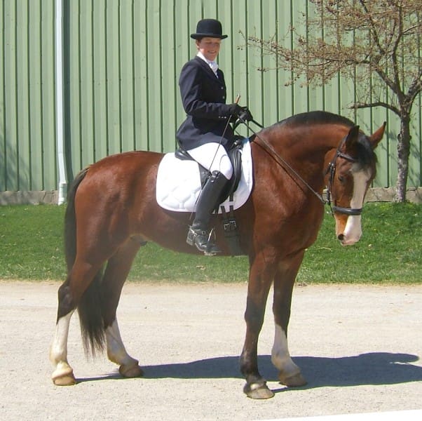 Person dressed in formal equestrian attire riding a brown horse with a white saddle pad, standing on a gravel path in front of a green building.