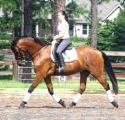 A person riding a brown horse in an outdoor area with trees and buildings in the background.