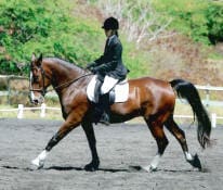 Person riding a horse in an outdoor equestrian setting, performing a dressage movement. The rider is dressed in a formal equestrian outfit.