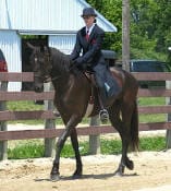 A person in formal riding attire is riding a dark-colored horse in an outdoor fenced area.