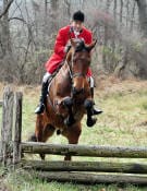 A rider wearing a red coat jumps a horse over a wooden obstacle in a grassy field with a forested background.