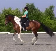 Person riding a brown and white horse on a gravel surface with trees in the background.