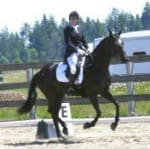 A person riding a horse in a dressage competition at an outdoor arena with a wooden fence and trees in the background.