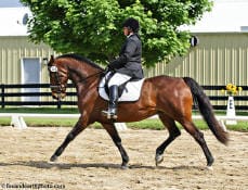 A person in formal equestrian attire rides a brown horse in an outdoor fenced area.