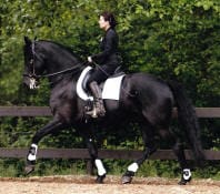 A rider in formal equestrian attire is practicing dressage on a black horse in an outdoor arena.