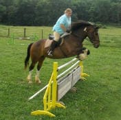 Person in a blue shirt and beige pants riding a brown horse, jumping over a yellow and white obstacle in a grassy field with trees in the background.