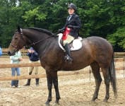 A person dressed in equestrian gear sits atop a dark horse, holding a red ribbon, in an outdoor setting with trees and onlookers in the background.