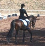 A person in equestrian attire rides a dark brown horse in an outdoor arena.