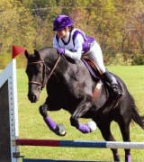 A person in white pants and a purple top, helmet, and gloves is riding a black horse while jumping over a red and blue obstacle on a grassy field. Trees are visible in the background.