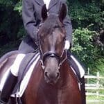 A person in formal riding attire is mounted on a dark-colored horse, with greenery and a wooden fence visible in the background.