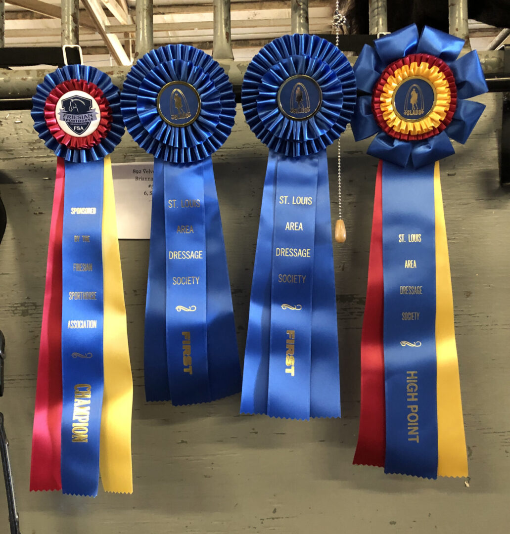 Four blue horse show ribbons with various designs and titles hang on a metal rack, including Champion, First, and High Point awards from different events.