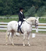 A person in a black hat and jacket rides a white horse in an outdoor equestrian arena with white fencing and green trees in the background.