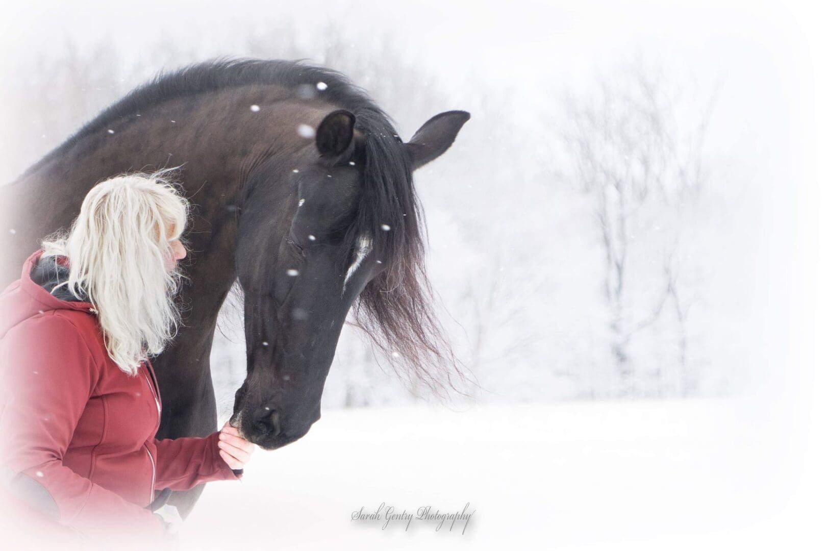 A person with long white hair in a red jacket stands next to a black horse in a snowy landscape.