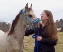 A person with long hair is standing next to a light-colored horse with a blue halter, holding its lead rope.