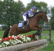 Equestrian rider in purple and blue attire jumps a brown horse over a wooden obstacle with white and red flowers in an outdoor setting. Trees are visible in the background.