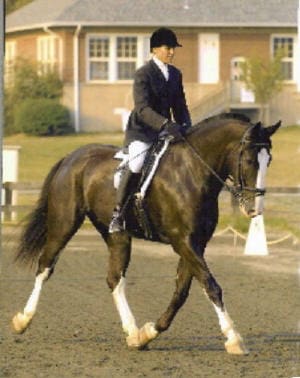 A person dressed in equestrian attire, riding a black horse with white markings in an outdoor arena. A brick building is in the background.