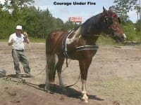 A man stands beside a harnessed horse on a dirt ground with trees in the background, and the text "Courage Under Fire" is displayed at the top.