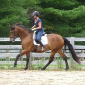 A person riding a brown horse in an outdoor paddock. The rider is wearing a helmet and casual riding clothes.