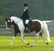 A person in equestrian attire riding a brown and white horse in a grassy area.