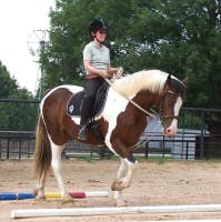 A person wearing a helmet is riding a brown and white horse in an outdoor equestrian area. There are colored poles on the ground and trees in the background.