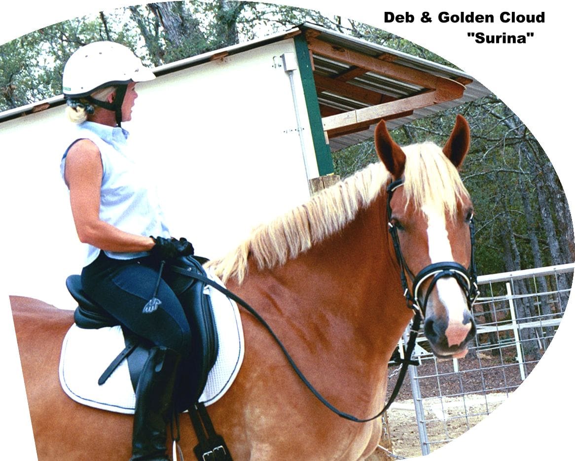 Person riding a horse named "Surina" while wearing a helmet and riding gear. Roofed structure and trees are visible in the background.