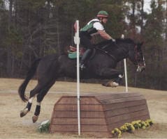 A rider and horse jump over an obstacle during an equestrian event in an outdoor area surrounded by trees.