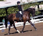 Person riding a horse in an outdoor arena with a white fence and green foliage in the background. The person is wearing a helmet and equestrian gear.