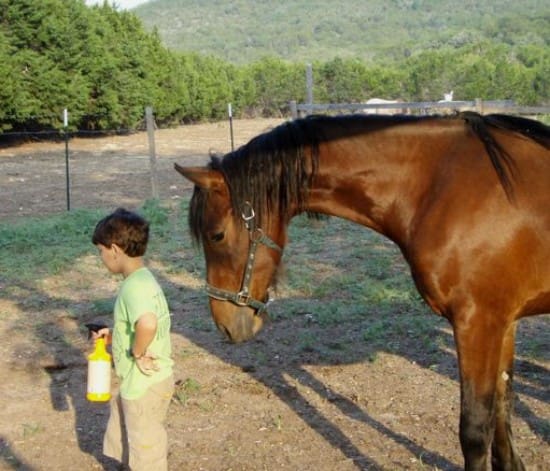 A child stands holding a spray bottle next to a brown horse in an outdoor setting with trees and hills in the background.