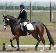 A person dressed in equestrian attire rides a dark-colored horse in an open field with power lines and poles in the background.