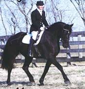 A person dressed in formal equestrian attire rides a black horse in a meadow, with a wooden fence and bare trees in the background.