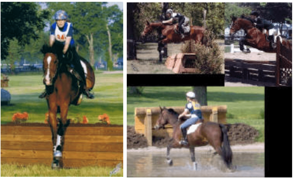 A collage showing a person riding a horse through various equestrian obstacles, including a jump over a fence, water crossing, and another jump with a wooded background.