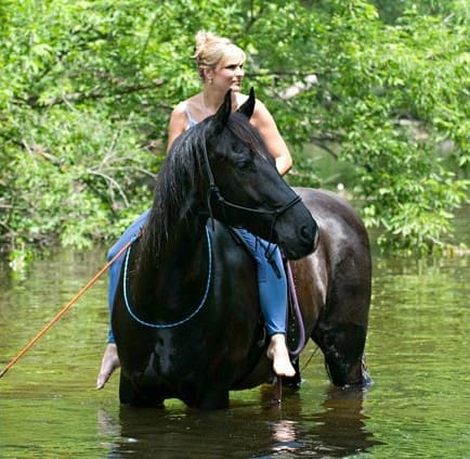 A woman with blonde hair sits on a black horse standing in a shallow body of water surrounded by green trees.