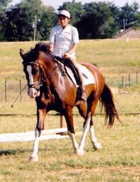 Person riding a brown horse in an open field with trees and buildings in the background.