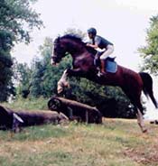 A person riding a horse jumps over an obstacle during an outdoor equestrian event. Trees and shrubs are visible in the background.