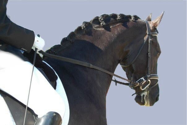 A close-up of a dark horse with a braided mane, wearing a bridle, and being ridden by a person in formal riding attire against a light blue background.