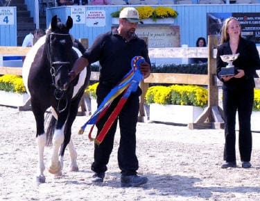 A man leading a horse with multiple ribbons, standing next to a smiling woman holding a trophy in a fenced arena.