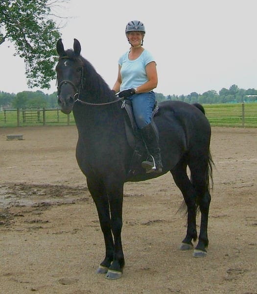 Person wearing a helmet and blue shirt sitting on a large black horse in an outdoor area with a fence and trees in the background.