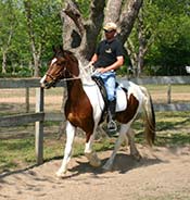 A person rides a brown and white horse on a dirt path next to a wooden fence in a tree-lined area.