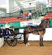 A horse-drawn carriage is on display in an indoor arena with "NC State Fair" signage in the background. Several people are seated in the bleachers observing.