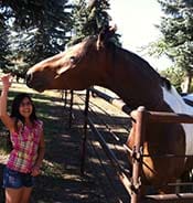 A girl in a pink plaid shirt stands next to a brown and white horse behind a metal fence, with trees in the background.